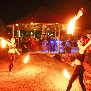 https://escape-divers-jungle-hostel.tophotelskohtao.com